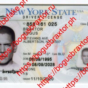 New York 2020 (NY O21 2020)