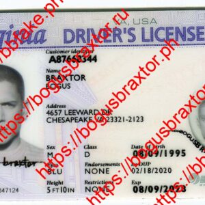 Virginia Fake ID